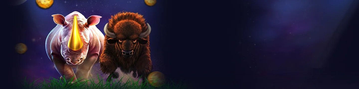 20Bet Bonus 20Bet Bonus